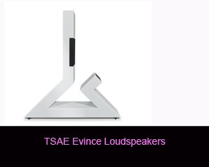 TSAE