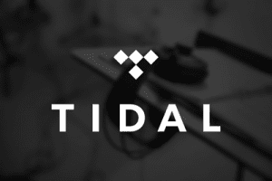 Tidal best sale and sonos