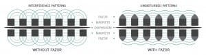 Fazor-Element-Diagram (1)