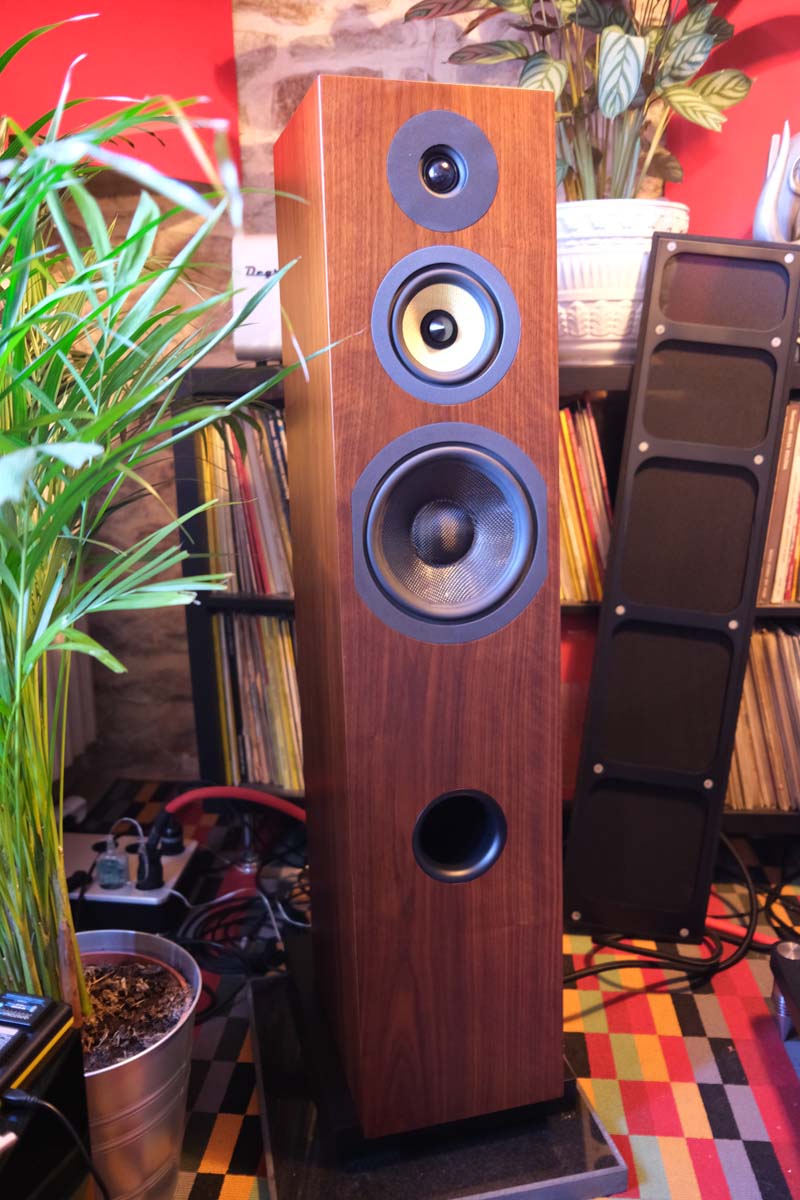 Davis acoustics courbet 8 loudspeakers in situ