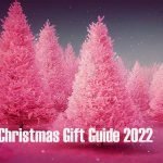 HiFi Pig Christmas Gift Guide 2022