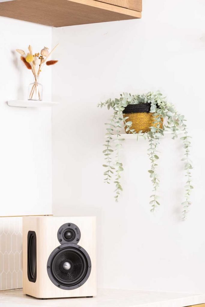 Octavio Maestro Connected HiFi Speaker