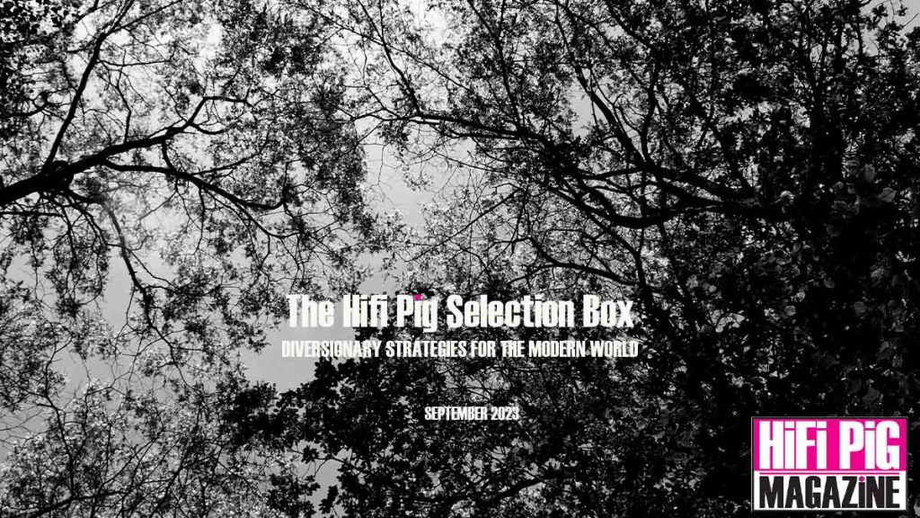 The HiFi PiG Selection Box September 2023