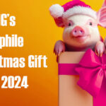 HiFi PiG’s Audiophile Christmas Gift Guide 2024